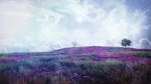 Bleached Colors
