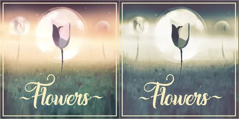 Chantaro - Flowers