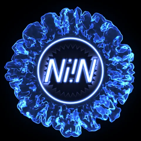 Name Is Not Name Logo