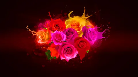 Spilled Roses