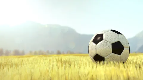 Sportsball