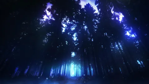 Valhalla Forest