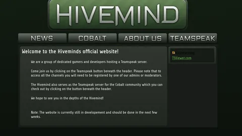 The first Hivemind site, 2013